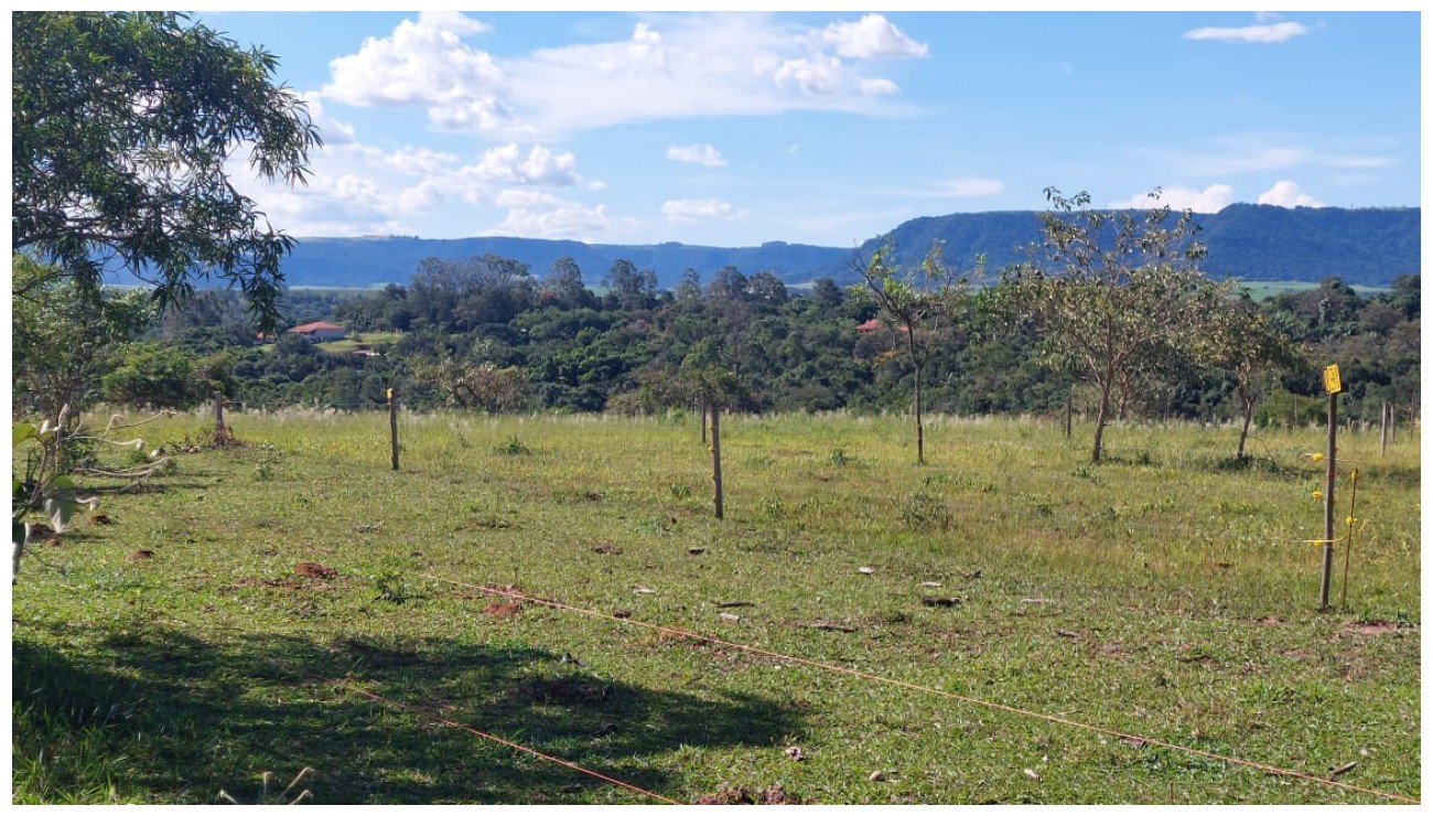 Chcara em / no bairro 